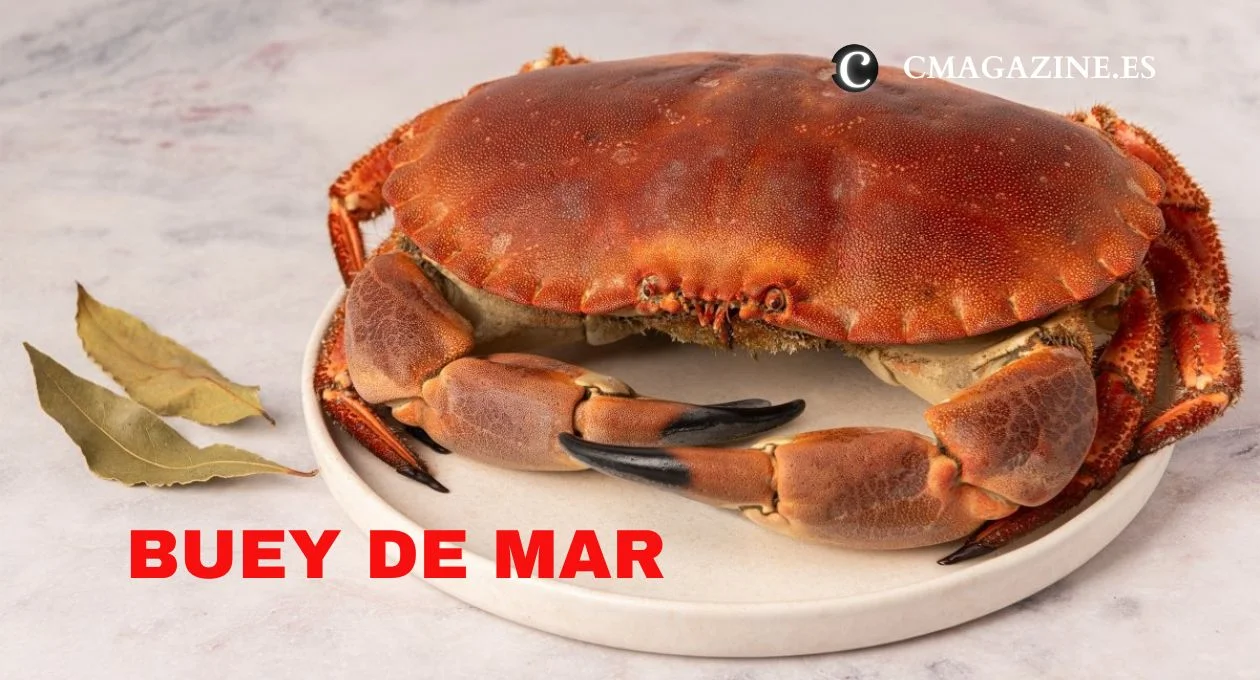 buey de mar