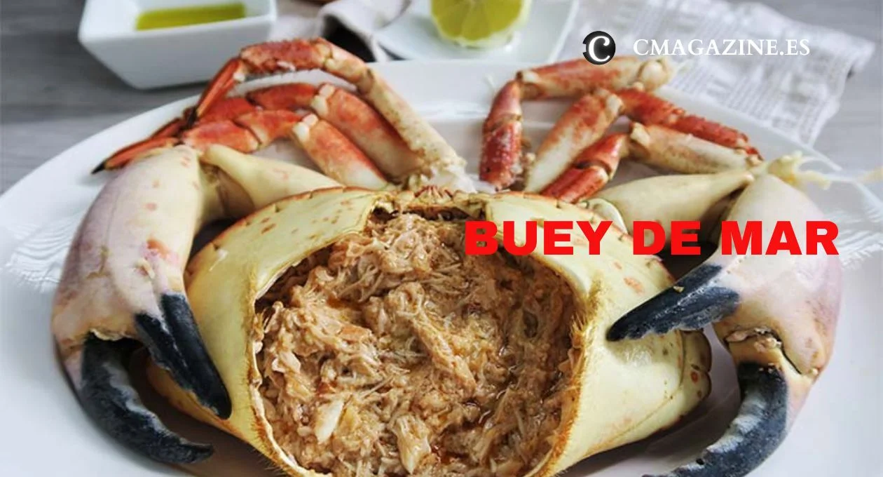 buey de mar