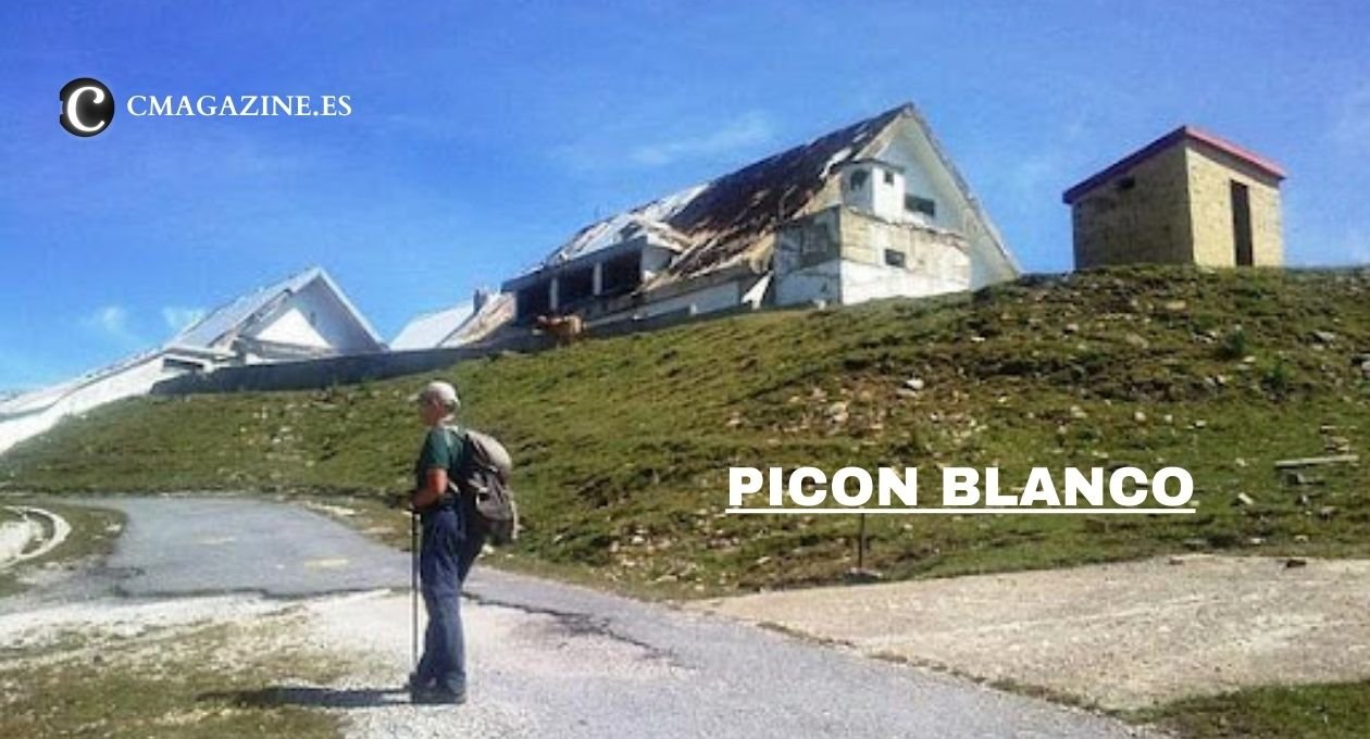 picon blanco